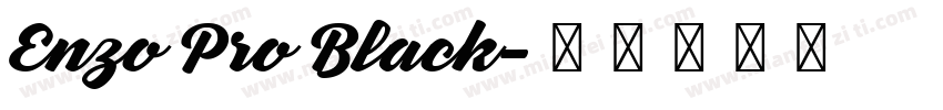 Enzo Pro Black字体转换
